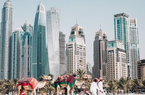 rejser til Dubai